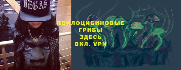 хмурый Алзамай