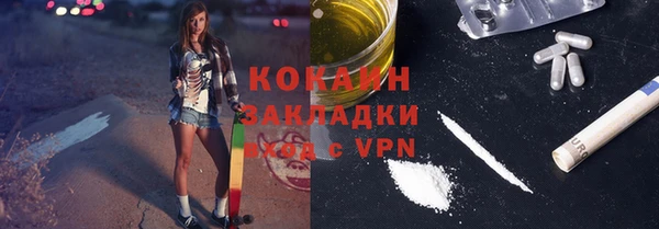 хмурый Алзамай