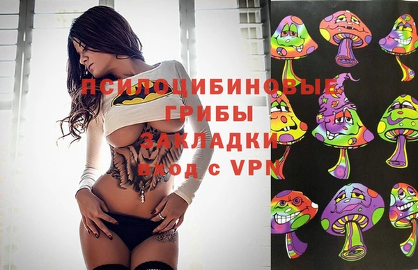 хмурый Алзамай