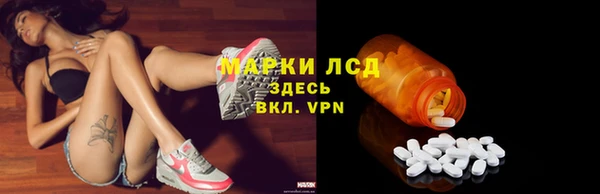 хмурый Алзамай