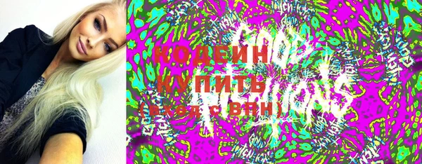 шишки Арсеньев